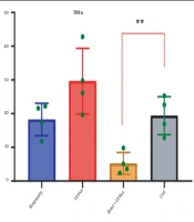 Finding Molecular Inhibitors of the Inflammatory Pathway in the Large Intestine Along with Molecular Dynamics with Emphasis on the Use of TCM Database
