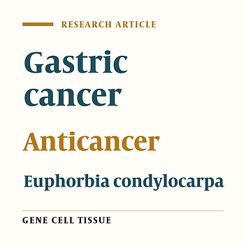 Assessing the Anticancer Effect of the Euphorbia condylocarpa Plant on AGS Gastric Cancer Cell Line