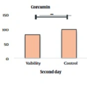 Investigating the Effects of Curcumin and Low-power Laser Therapy on Colorectal Cancer Cells of the Caco2 Cell Line