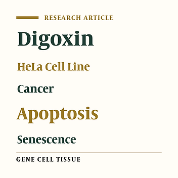 Digoxin Effectively Inhibited Cell Growth and Induced Senescence in Cervical Cancer Cell Line
