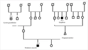 Investigating Mutations of 288 Genes in a Family with Charcot-Marie-Tooth Disease by the Whole-Exome Sequencing Method in Khuzestan Province