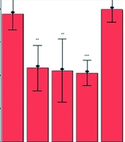 Investigating the Effect of Cumin (Cuminum cyminum L.) Hydroalcoholic Extract on the Incidence of Passive Avoidance Learning in Gonadectomized Male Wistar Rats
