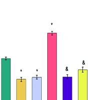 Study of the Central Injection Effects of Chrysin on Behavioral and Intra Hypothalamic Gene Expression Levels of CRH and CGRP in Male Rats