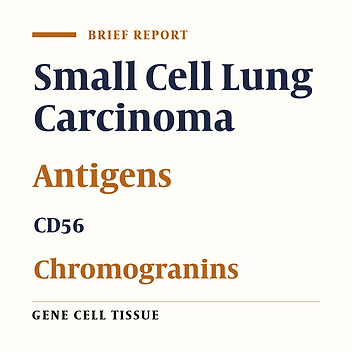 Absence of Immune Response as a Sign of Tissue Tolerance in Small-Cell Lung Cancer