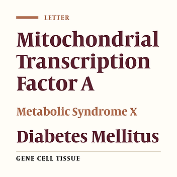 Does Mitochondrial Size or Number Play a Role in Metabolic Syndrome?