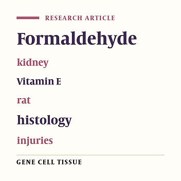 Protective Effect of Vitamin E on Formaldehyde-Induced Injuries in the Rat Kidney
