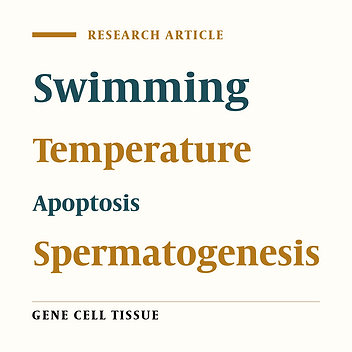 Spermatogenesis Process Following Chronic Swimming and Standing in Cold, Warm and Lukewarm Water