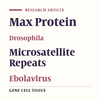 Analysis of Simple and Imperfect Microsatellites in Ebolavirus Species and Other Genomes of Filoviridae Family