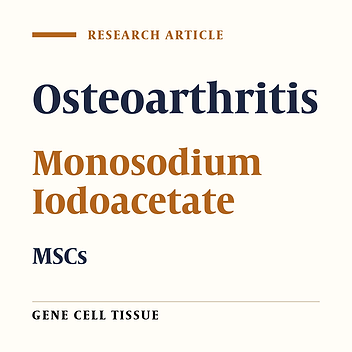 Mesenchymal Stem Cells Inhibit Proteoglycan Degeneration in a Rat Model of Osteoarthritis