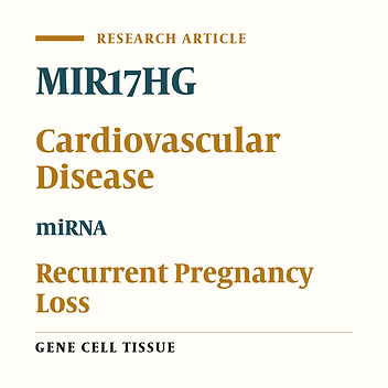 MIR17HG Gene Polymorphism and the Risk of Recurrent Spontaneous Abortion