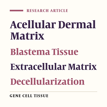 Inducing the Effects of Acellular Dermal Matrix on Blastema Tissue Originated From the Pinna of New Zealand White Rabbit, in Vitro