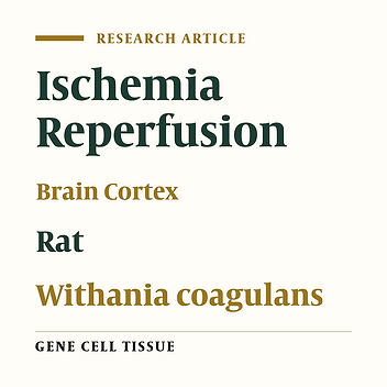 Withania coagulans Extract Attenuates Histopathological Alteration and Apoptosis in Rat Brain Cortex Following Ischemia/Reperfusion Injury