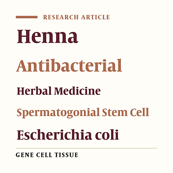 Henna, An Antimicrobial Herbal Medicine With Less Negative Effect on Spermatogonial Stem Cell Culture