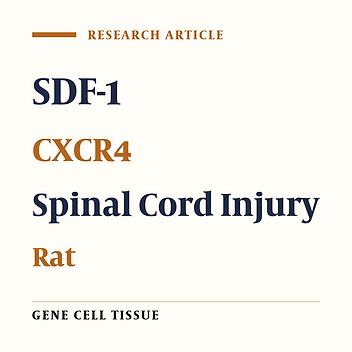 Spinal Cord Injury Repair by Intrathecal Infusion of Stromal Cell-Derived Factor-1/CXC Chemokine Receptor 4 in a Rat Model