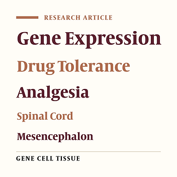 Gene Expression Profile of Calcium/Calmodulin-Dependent Protein Kinase IIα in Rat Spinal Cord and Midbrain During Induction of Morphine Analgesic Tolerance