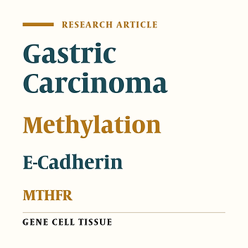 Effect of MTHFR C677T Polymorphism on Methylation Status of E-Cadherin in Gastric Cancer