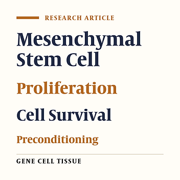 The Effects of Preconditioning on Survival of Mesenchymal Stem Cells in Vitro