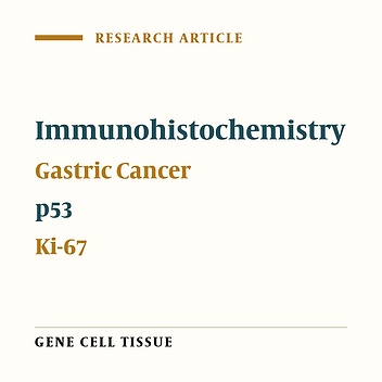 Immunohistochemical Expression of p53 and Ki-67 Genes in Gastric Cancer and Precancerous Lesions in the Patients with Helicobacter pylori Infection