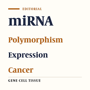 MicroRNAs: Promising Potential Targets for Cancer Treatment