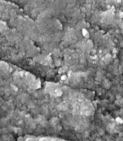 Synthesis of Zinc Nanoparticles in Hibiscus sabdariffa Plant Extract and Investigation of Its Antimicrobial Properties