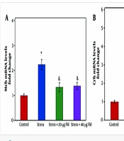 Cover image of the article: The Expression of Melanin Concentrating Hormone and Corticotrophin Releasing Hormone Genes in a Stress Model Rats Receiving Formononetin