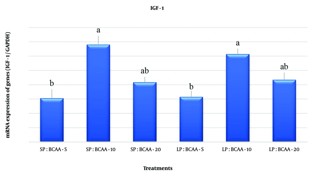 The effect of different levels of crude protein (CP) and branched-chain amino acids (BCAAs) in the diet on relative mRNA gene expression related to the insulin-like growth factor 1 (IGF-1) signaling pathway in the liver tissue of broiler chickens at the age of 42 days. Experimental treatments including: Diet with standard protein and BCAA (SP: BCAA-S); diet with standard CP and BCAA 10% higher than the standard (SP: BCAA-10); diet with standard CP and BCAA 20% higher than standard (SP: BCAA-20); diet with CP 10% less than standard and BCAA standard (LP: BCAA-S); diet with CP 10% less than standard and BCAA 10% higher than standard (LP: BCAA-10); and the diet with CP was 10% lower than the standard and BCAA was 20% higher than the standard (LP: BCAA-20) (n = 24). The effect of different levels of crude protein (CP) and branched-chain amino acids (BCAAs) in the diet on relative mRNA gene expression related to the insulin-like growth factor 1 (IGF-1) signaling pathway in the liver tissue of broiler chickens at the age of 42 days. Experimental treatments including: Diet with standard protein and BCAA (SP: BCAA-S); diet with standard CP and BCAA 10% higher than the standard (SP: BCAA-10); diet with standard CP and BCAA 20% higher than standard (SP: BCAA-20); diet with CP 10% less than standard and BCAA standard (LP: BCAA-S); diet with CP 10% less than standard and BCAA 10% higher than standard (LP: BCAA-10); and the diet with CP was 10% lower than the standard and BCAA was 20% higher than the standard (LP: BCAA-20) (n = 24).