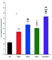 Aerobic Exercise and Celastrol: A Promising Combination for Achilles Tendon Regeneration