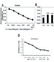 Identification of Reliable Housekeeping Genes for qRT-PCR Normalization in Neuroblastoma and Glioblastoma Cell Lines Infected with Lentivirus