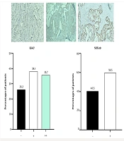 Gene Cell Tissue