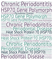 HSP70 Gene Polymorphisms Probably Could Be Associated with Susceptibility to Chronic Periodontitis