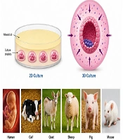 Hydrogel-Based Three-Dimensional Culture Systems in Reproductive Technology: A Review