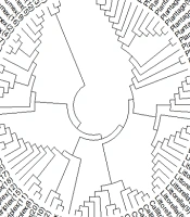 Deciphering Plantago's Evolutionary Tree: The Role of Nuclear ITS1 Data to Resolve Phylogenetic Links and Cross-Species Comparisons