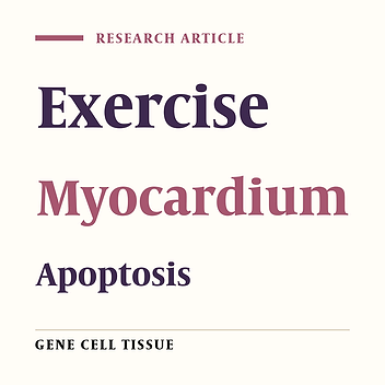 Effect of Exercise Training on Bcl-2 and Bax Gene Expression in the Rat Heart