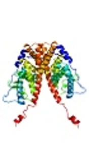 Association of PvuII T> C and XbaI A> G Polymorphisms of Estrogen Receptor α Gene with Uterine Leiomyoma: A Case-Control Study