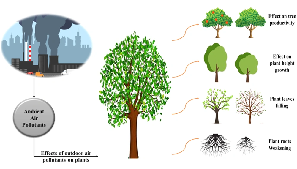Investigating the Effects of Air Pollution on Plant Species Resistance in  Urban Areas