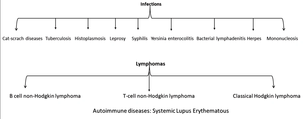 Histologic differential diagnosis of Kikuchi-Fujimoto disease Histologic differential diagnosis of Kikuchi-Fujimoto disease