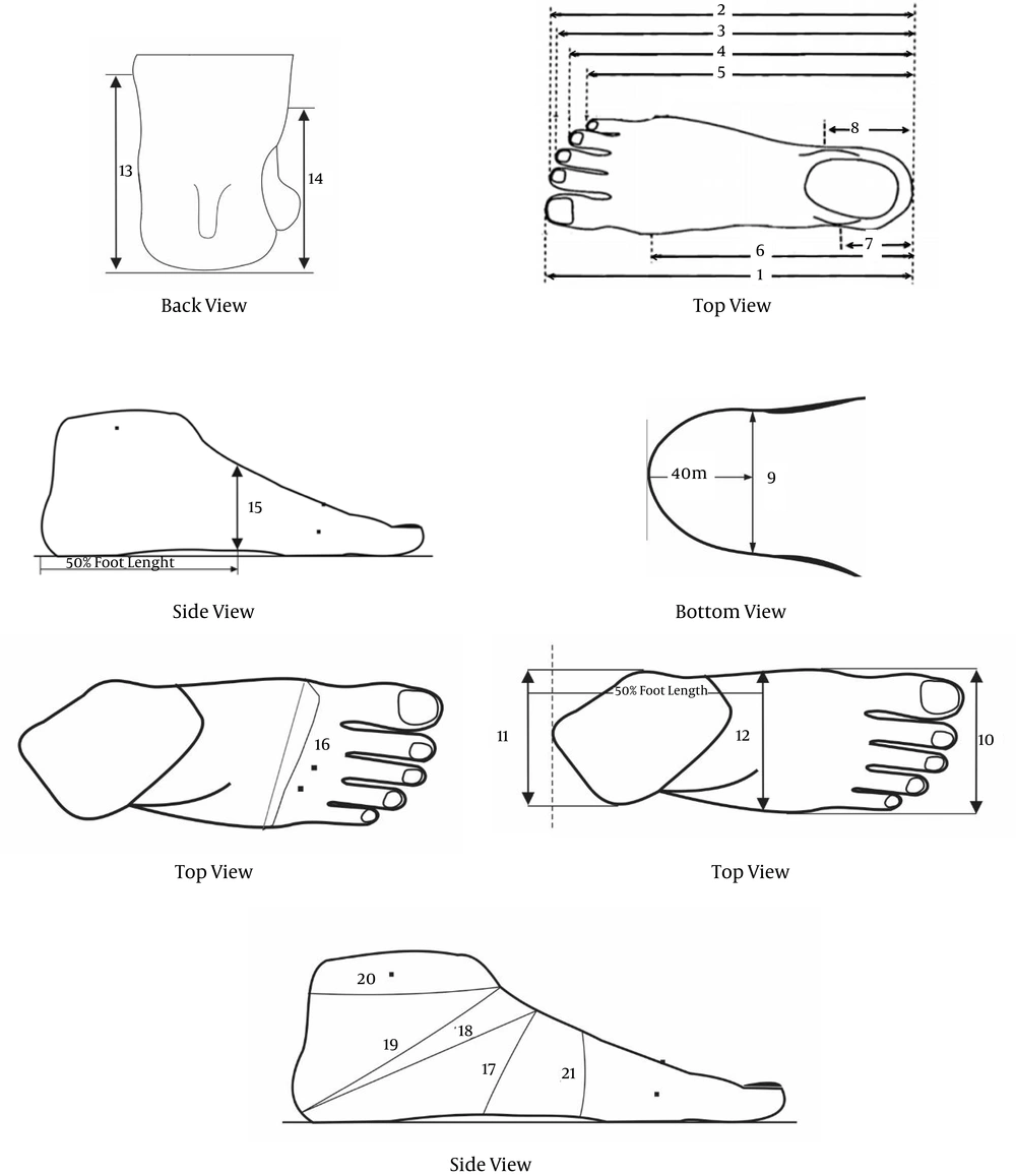 Foot dimensions; lengths (1 = FL (first toe length), 2 = FL2 (second toe length), 3 = FL3 (third toe length), 4 = FL4 (fourth toe length), 5 = FL5 (fifth toe length), 6 = AL (arch length), 7 = HMM (heel to medial malleolus), 8 = HLM (heel to lateral malleolus)), Widths (9 = HW (heel width), 10 = FW (foot width), 11 = BW (bimalleolar width), 12 = MFW (mid-foot width),13 = MMH (medial malleolus height)), heights (14 = LMH (lateral malleolus height), 15 = HFL (height at 50% foot length)),girths (16 = BG (ball girth), 17 = IG (instep girth), 18 = LHG (long heel girth instep girth), 19 = SHG (short heel girth), 20 = AG (ankle girth), 21 = WG (waist girth). Foot dimensions; lengths (1 = FL (first toe length), 2 = FL2 (second toe length), 3 = FL3 (third toe length), 4 = FL4 (fourth toe length), 5 = FL5 (fifth toe length), 6 = AL (arch length), 7 = HMM (heel to medial malleolus), 8 = HLM (heel to lateral malleolus)), Widths (9 = HW (heel width), 10 = FW (foot width), 11 = BW (bimalleolar width), 12 = MFW (mid-foot width),13 = MMH (medial malleolus height)), heights (14 = LMH (lateral malleolus height), 15 = HFL (height at 50% foot length)),girths (16 = BG (ball girth), 17 = IG (instep girth), 18 = LHG (long heel girth instep girth), 19 = SHG (short heel girth), 20 = AG (ankle girth), 21 = WG (waist girth).
