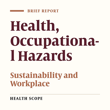 Ergonomic Risk Factors in University-Level Teachers in Sonora, Mexico: Towards a Sustainable Environment