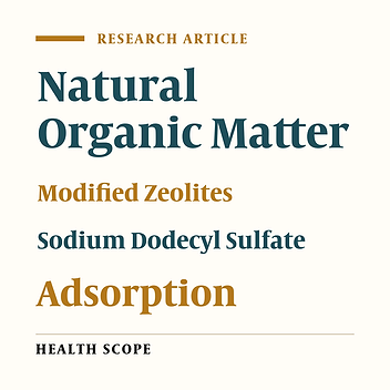 Sodium Dodecyl Sulfate Modified-Zeolite as a Promising Adsorbent for the Removal of Natural Organic Matter From Aqueous Environments