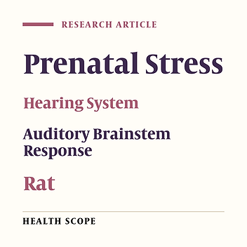 The Effect of Prenatal Stress on Auditory Brainstem Responses in Rat Pups
