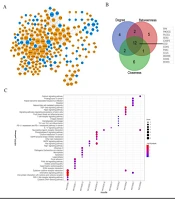 Identification of a 17-gene-signature in Non-alcoholic Steatohepatitis and Its Relationship with Immune Cell Infiltration