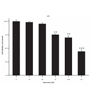 Effect of Quercetin on the Expression of NOXs and P-Smad3C in TGF-Β-Activated Hepatic Stellate Cell Line LX-2