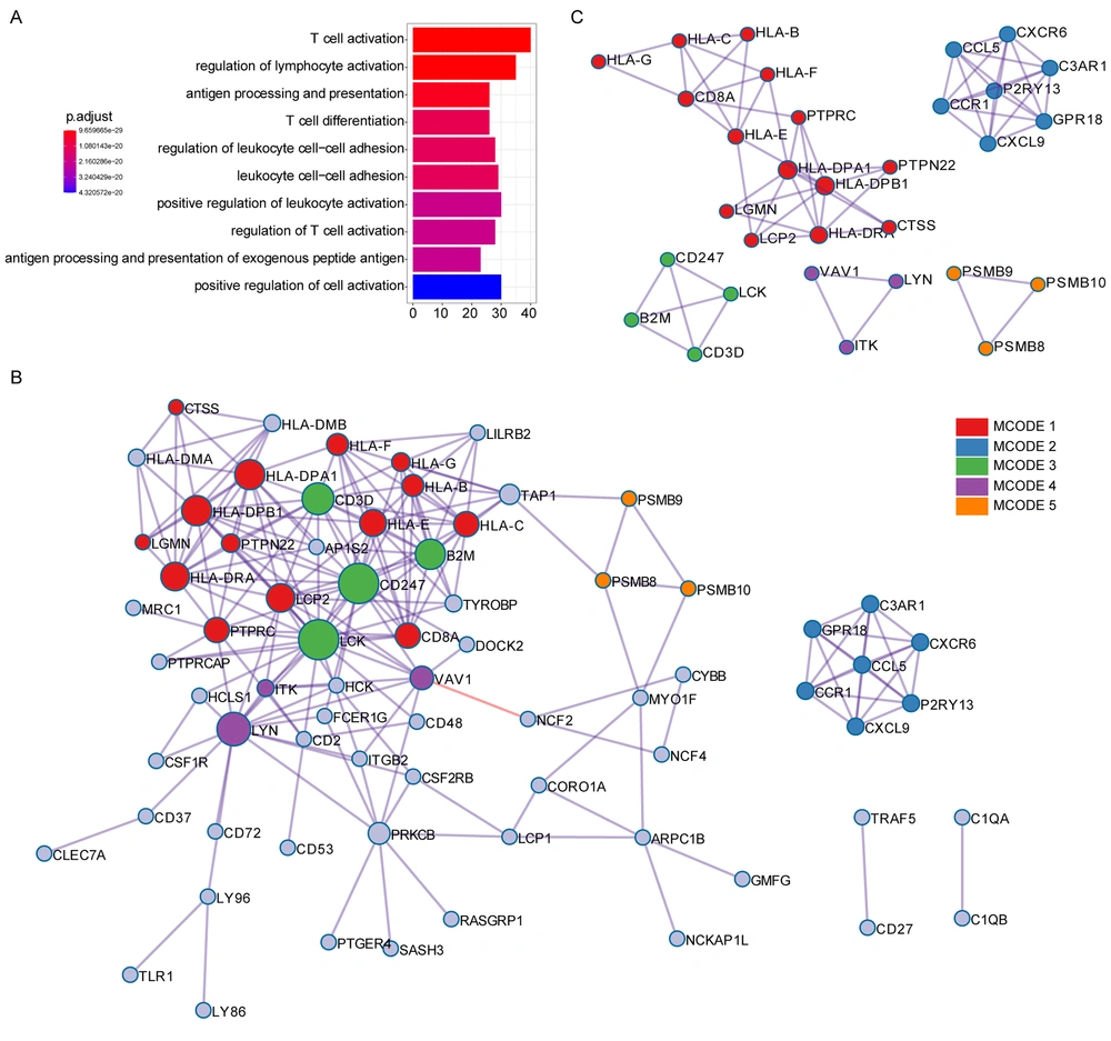 GO annotation and protein-protein interaction of immune score-related genes. (A) GO analysis was performed based on the 146 immune score-related genes. (B) The PPI network of immune score-related genes. (C) The MCODE algorithm was applied to this network to identify neighborhoods where proteins were densely connected. Each of the five colors represents five different MCODES. GO annotation and protein-protein interaction of immune score-related genes. (A) GO analysis was performed based on the 146 immune score-related genes. (B) The PPI network of immune score-related genes. (C) The MCODE algorithm was applied to this network to identify neighborhoods where proteins were densely connected. Each of the five colors represents five different MCODES.