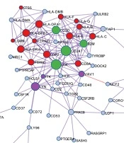 Immune Score-based Molecular Subtypes and Signature Associated with Clinical Outcome in Hepatoblastoma