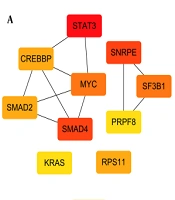 Identification of Molecular Subgroups in Liver Cirrhosis by Gene Expression Profiles