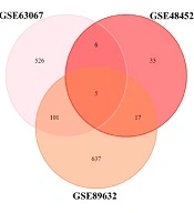 Identification of Shared Gene Signatures in Different Stages of Nonalcoholic Fatty Liver Disease Using Integrated Microarray Datasets