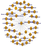 Persian Medicine Perspective on the Network Between the Liver and Other Organs