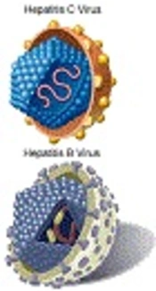 Reactivation of Hepatitis B Virus During Treatment of Hepatitis C Genotype 3 with Daclatasvir and Sofosbuvir in a Patient with Dual Infection of Hepatitis B and Hepatitis C Virus