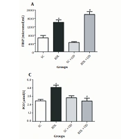 Oliveria decumbens Extract Exhibits Hepatoprotective Effects Against Bile Duct Ligation-Induced Liver Injury in Rats by Reducing Oxidative Stress