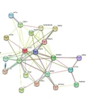 Cover image of the article: Vitamin D Improves the Lipotoxicity of Liver Cells by Adjusting Epigenetic Characteristics of Genes